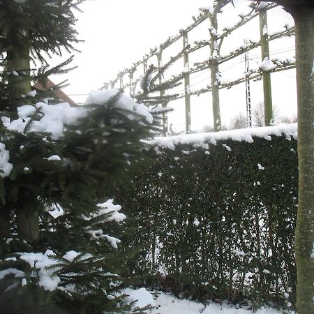 Langemark B&B Greenhouse 37 المظهر الخارجي الصورة